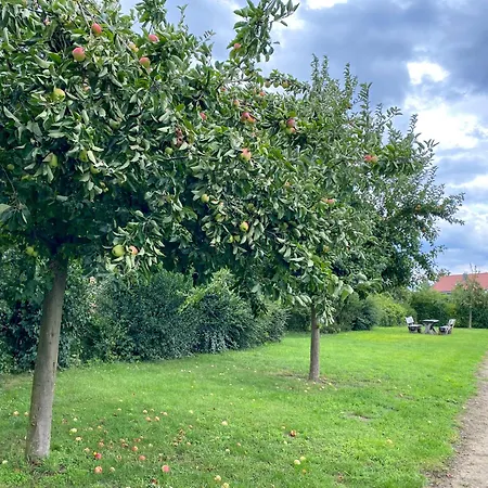 Wiesengefluester E2 - Nur 3 Gehminuten Zur Mueritz Und Mit Sauna Röbel