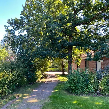 Wiesengefluester E2 - Nur 3 Gehminuten Zur Mueritz Und Mit Sauna Röbel