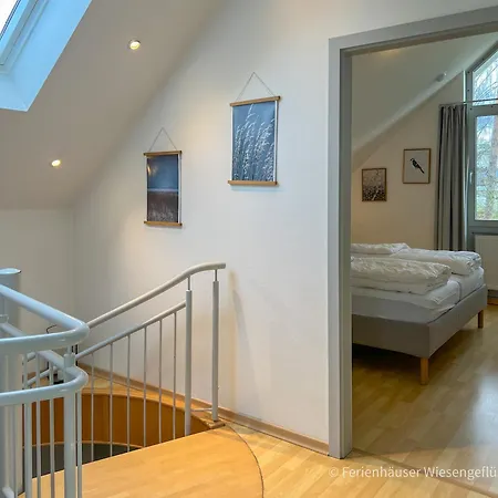 Wiesengefluester E2 - Nur 3 Gehminuten Zur Mueritz Und Mit Sauna