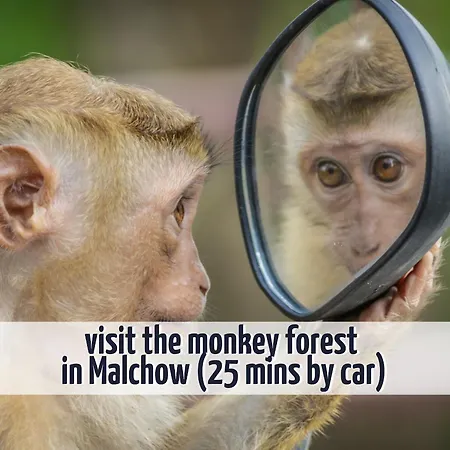 Wiesengefluester E2 - Nur 3 Gehminuten Zur Mueritz Und Mit Sauna