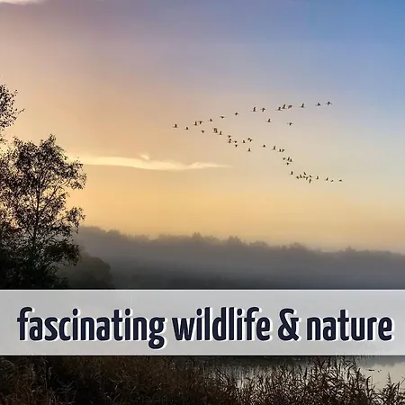 Nyaraló Wiesengefluester E2 - Nur 3 Gehminuten Zur Mueritz Und Mit Sauna Röbel