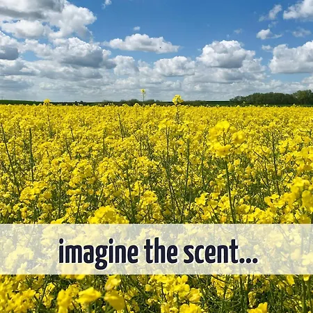 Wiesengefluester E2 - Nur 3 Gehminuten Zur Mueritz Und Mit Sauna Prázdninový dům